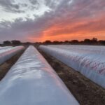 Hacia una “agricultura liviana”