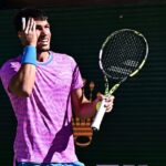 Insólito momento en Indian Wells: Alcaraz sufrió la picadura de una abeja en la invasión que obligó a suspender el duelo contra Zverev