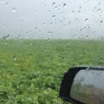 Por las lluvias, esperan 600.000 toneladas más de soja en la zona núcleo pero la cosecha será inferior a lo normal