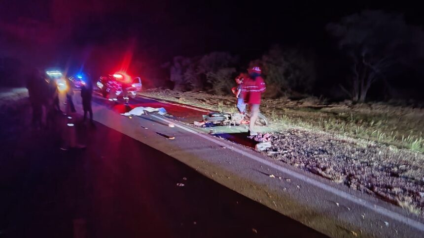 Dos hombres fallecieron luego de que un camión los atropellara por Ruta Nacional 79