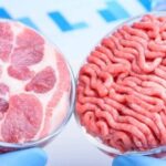 Las comidas que se vienen: carne cultivada, algas y medusas