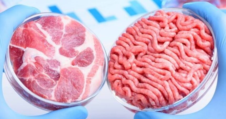 Las comidas que se vienen: carne cultivada, algas y medusas