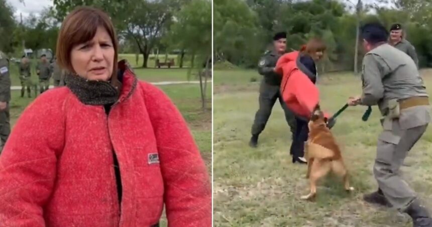 Video: el momento en que Patricia Bullrich es atacada por un perro de seguridad durante una demostración