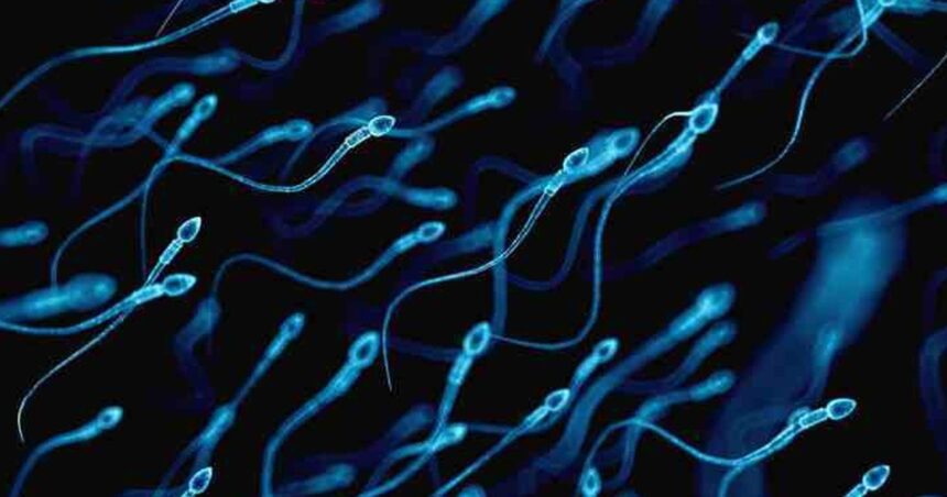 Cuál es la proteína necesaria para mejorar la fertilidad en hombres