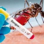 La vacuna contra del dengue “no sirve para frenar brotes ni evitar contagios”