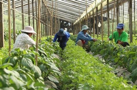 En La Rioja cierran el “Instituto de Agricultura Familiar, Campesina e Indígena”: 30 cargos y sueldos de 600 mil pesos