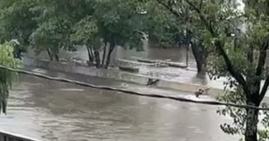 Buscan a un adolescente de 17 años que desapareció en José León Suárez tras tirarse a nadar en medio de la tormenta