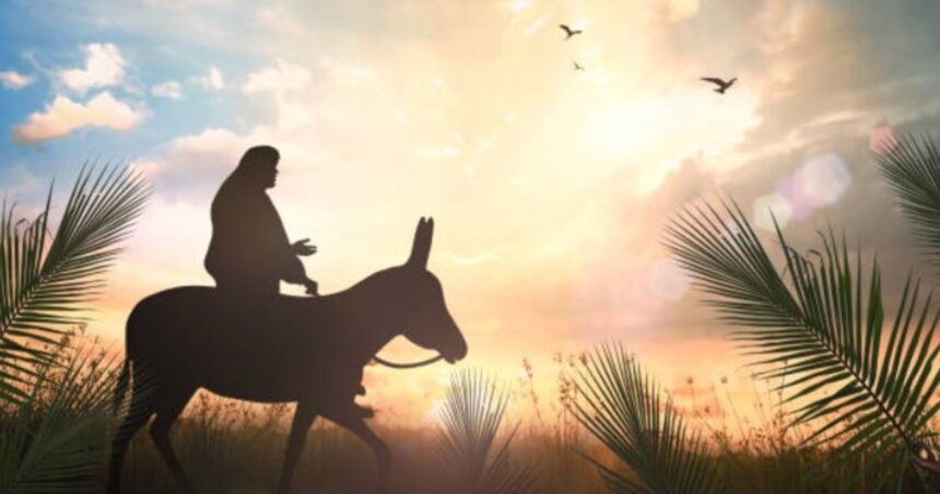 Domingo de Ramos 2024: qué significa, cuál es su origen y por qué da inicio a la Semana Santa Domingo de Ramos 2024: qué significa, cuál es su origen y por qué da inicio a la Semana Santa