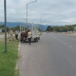 Personal de la Policía Montada capturaron a un caballo en Av. Primero de Marzo