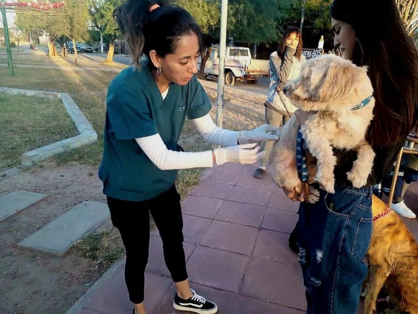 CHEPES | CAMPAÑA DE DESPARASITACIÓN Y VACUNACIÓN ANTIRRÁBICA A FELINOS Y CANINOS