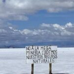 Cinco mineras concentran casi un millón de hectáreas de salares, un ecosistema clave