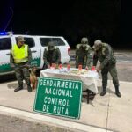 Gendarmería secuestro una cantidad importante de drogas sintéticas en Ruta Nacional 38