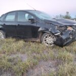 Un auto chocó contra una vaca por Ruta Provincial N°29