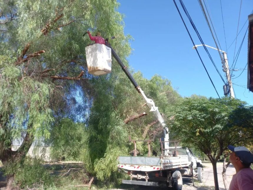 En Chepes | TRABAJOS DE MANTENIMIENTO EN ÁRBOLES QUE DIFICULTAN LA TRANSITABILIDAD Y CABLEADO DE LA VIA PUBLICA