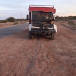 nuevo-accidente-vial-que-involucra-a-los-animales-sueltos-en-la-ruta-provincial-n°29