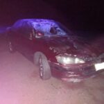 Automovilista chocó con un animal suelto en Ruta N°74