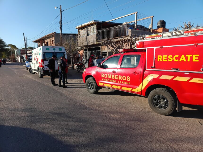 Hombre sufrió dura caída de un árbol