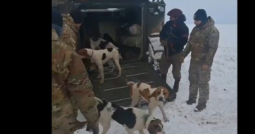 El Ejército rescató a un peón y sus 13 perros de una cabaña en Santa Cruz aislada desde hace un mes por la nieve