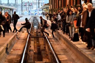 Diario de (no) viaje: trenes muy rápidos pero que no salen y un grito de corazón, “¡Maligno viejo y peludo!”, en plena estación de Lyon