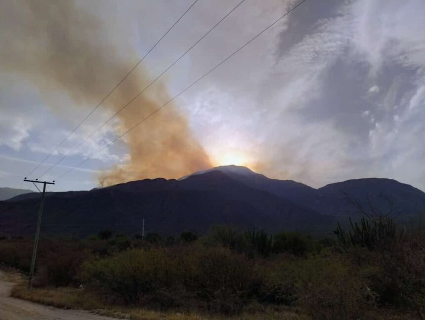 Sigue activo el incendio en el Cerro de La Cruz