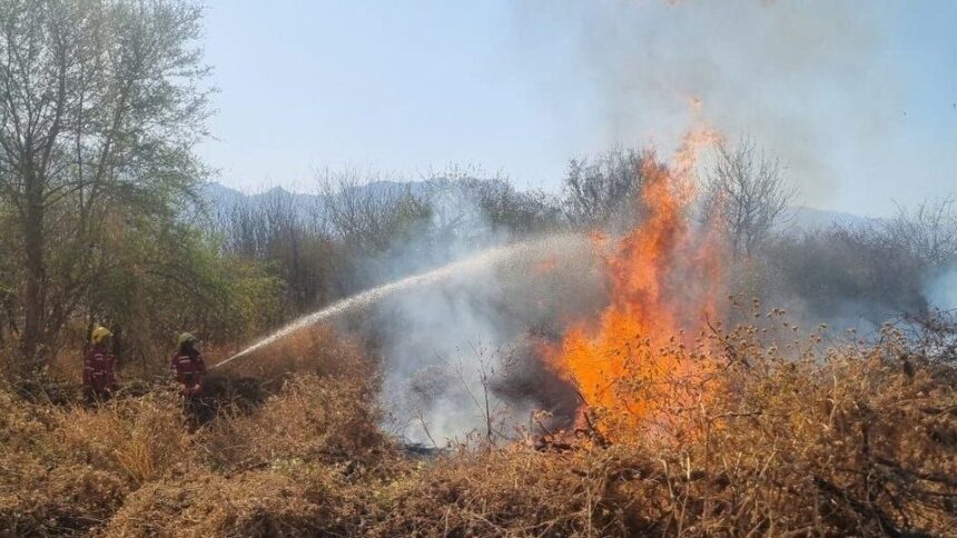 Catástrofe en La Rioja: Un incendio arrasa más de 11.000 hectáreas en Sierra del Velasco