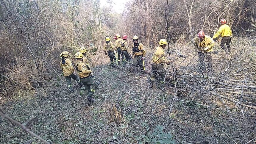 continua-el-intenso-operativo-para-combatir-los-focos-de-incendio-en-toda-la-provincia