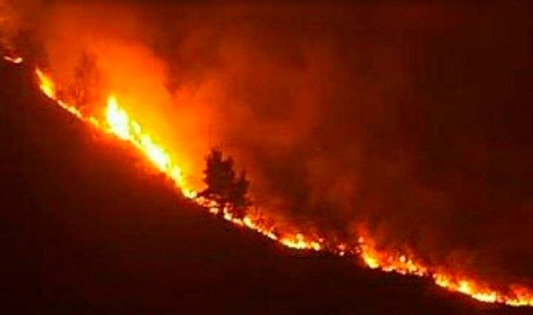 el-incendio-del-cordon-del-velasco-se-encuentra-activo-en-el-sector-de-quebradas