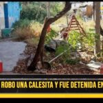 pareja-robo-una-calesita-y-fue-detenida-en-el-centro