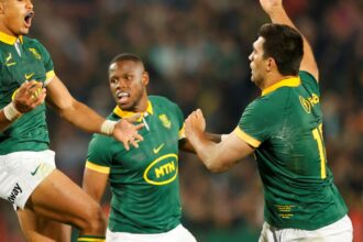 Rugby Championship: los Sprinbogks les ganaron un partidazo a los All Blacks y demostraron por qué son los mejores del mundo