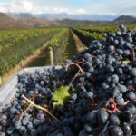 La Rioja es la provincia que menos produce en la Argentina