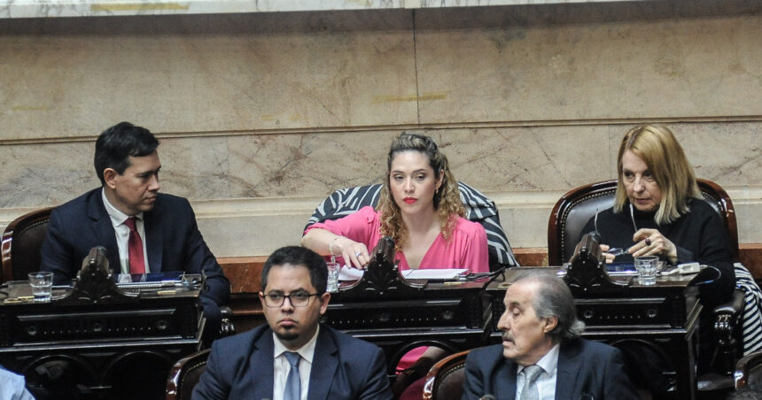 Tras su expulsión del bloque libertario, la diputada Lourdes Arrieta anunció que votará en contra del Gobierno: “El ajuste iba a ser para la casta, no para los jubilados”