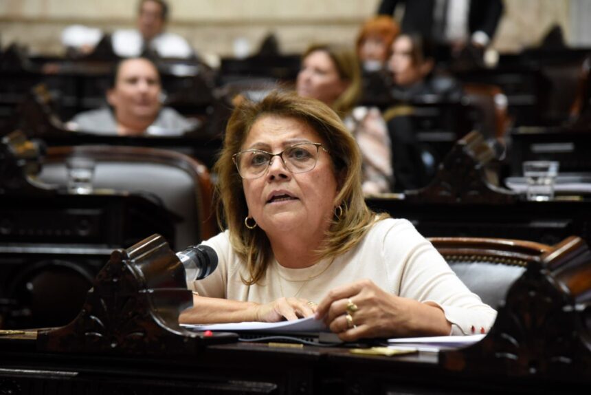 hilda-clelia-aguirre-realizo-mas-de-30-viajes-durante-el-primer-semestre-de-2024