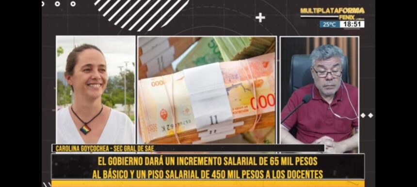 Carolina Goycochea sobre el nuevo incremento salarial del gobierno provincial. “Los 65 mil pesos son una burla, es una tomada más de pelo del gobernador”