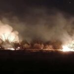 el-coe-informo-sobre-el-desarrollo-de-varios-incendios