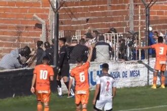 Primera C: la barra de Claypole cruzó la cancha para agredir a los dirigentes de Berazategui y un hombre en silla de ruedas quedó en medio del ataque