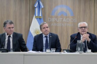 dura-advertencia-de-un-ex-alto-jefe-militar-a-usar-las-fuerzas-armadas-contra-el-terrorismo:-“cuidado-con-liberar-al-rottweiller”