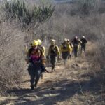 el-coe-informo-sobre-el-incendio-forestal-en-el-cordon-del-velasco