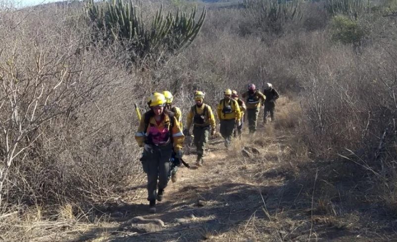 el-coe-informo-sobre-el-incendio-forestal-en-el-cordon-del-velasco