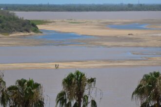 Advierten que la cuenca del Paraná está históricamente baja: cómo producir en este contexto