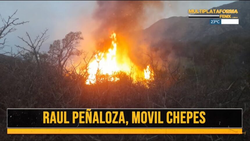 chepes:-avanza-el-incendio-en-el-campo-de-“los-rodriguez-saa”