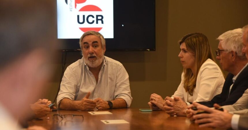 Confirman la derrota de la lista de Martín Lousteau y Manes en la interna de la UCR en un distrito clave