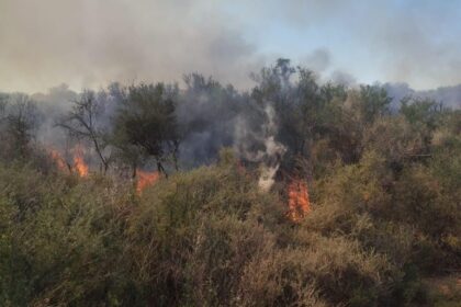 Reportan incendio forestal de magnitud media en Pagancillo