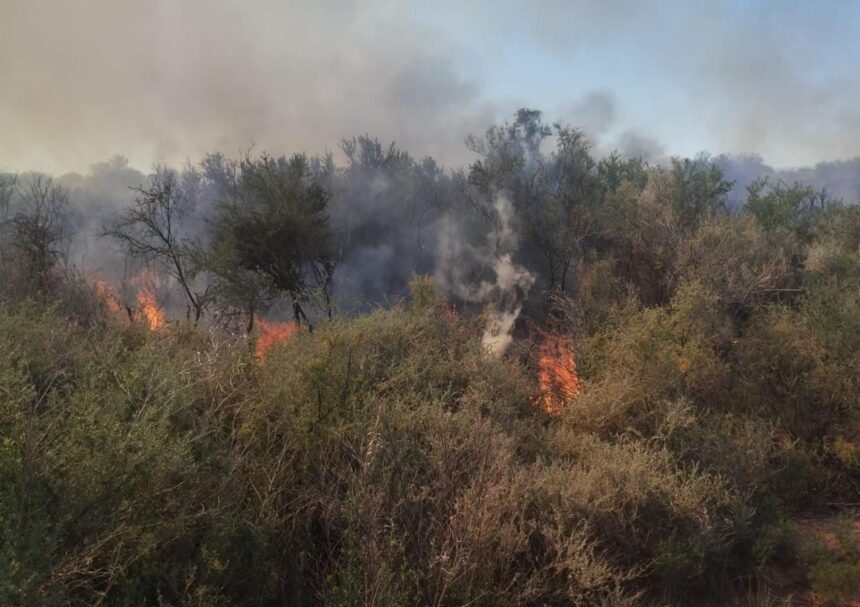 Reportan incendio forestal de magnitud media en Pagancillo