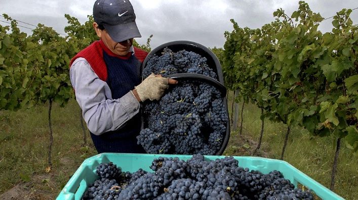 La Rioja ya es la tercera provincia vitícola del país