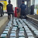 Interceptaron un camión que transportaba un cargamento de cocaína valuado en más de un millón de dólares