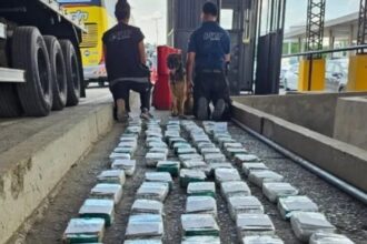 Interceptaron un camión que transportaba un cargamento de cocaína valuado en más de un millón de dólares