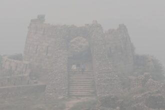 Niebla tóxica: Nueva Delhi se asfixia y marca el récord histórico de contaminación