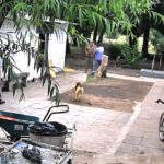 Acusan a La Cámpora de entregarle el control de un cementerio municipal a la barra de River