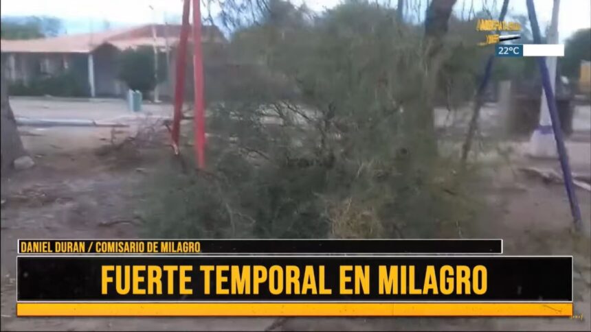 “Sufrimos una tormenta grande con lluvia, granizo y viento”