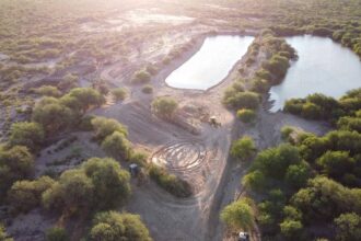 Medialunas Contra la Desertificación | RELEVAMIENTO DE DATOS EN EL CAMPO MUNICIPAL SOL DE MAYO